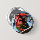 Schaltfläche Macaw Button (Vorne & Hinten)