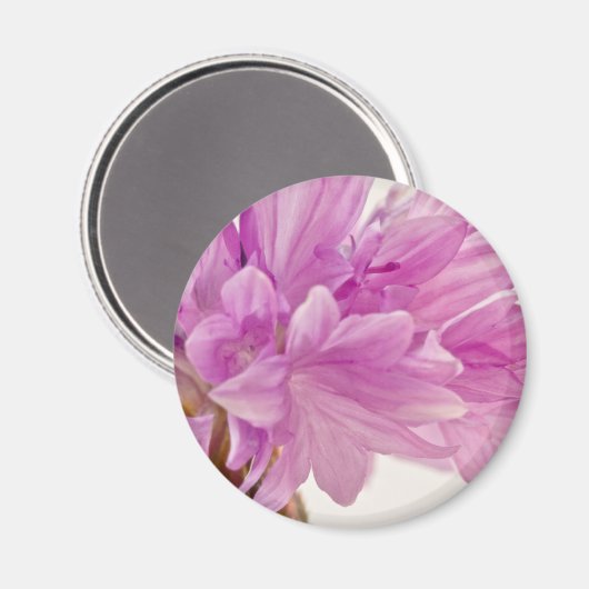 Schaltfläche Magnet (Vorderseite/Rückseite)