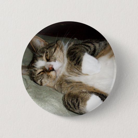 Schaltfläche "Manx Cat Sleeping" Button (Vorderseite)