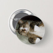 Schaltfläche "Manx Cat Sleeping" Button (Vorne & Hinten)