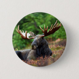 Schaltfläche Moose Button