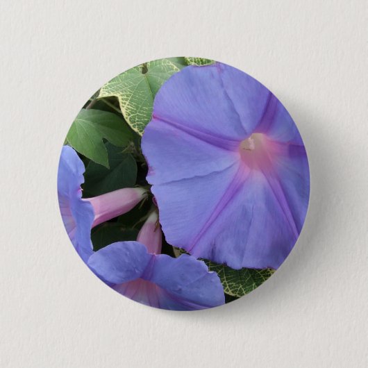 Schaltfläche "Morning Glories" Button (Vorderseite)