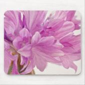 Schaltfläche Mousepad (Vorne)