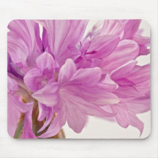 Schaltfläche Mousepad (Vorne)