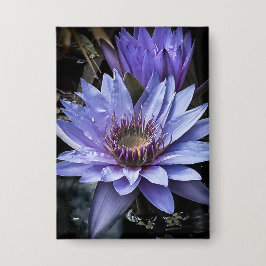 Schaltfläche "New Blue" Button