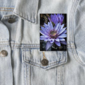 Schaltfläche "New Blue" Button (Insitu)