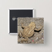 Schaltfläche "niedlich Crawling Toad" Button (Vorne & Hinten)