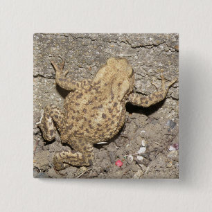 Schaltfläche "niedlich Crawling Toad" Button