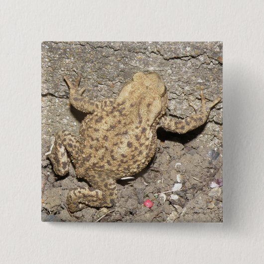Schaltfläche "niedlich Crawling Toad" Button (Vorderseite)