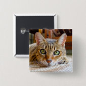 Schaltfläche "niedliche Katze" Button (Vorne & Hinten)