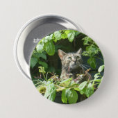 Schaltfläche "niedliche Vogelbeobachtung" Button (Vorne & Hinten)