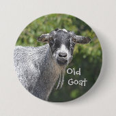 Schaltfläche "Old Goat" Button (Vorderseite)