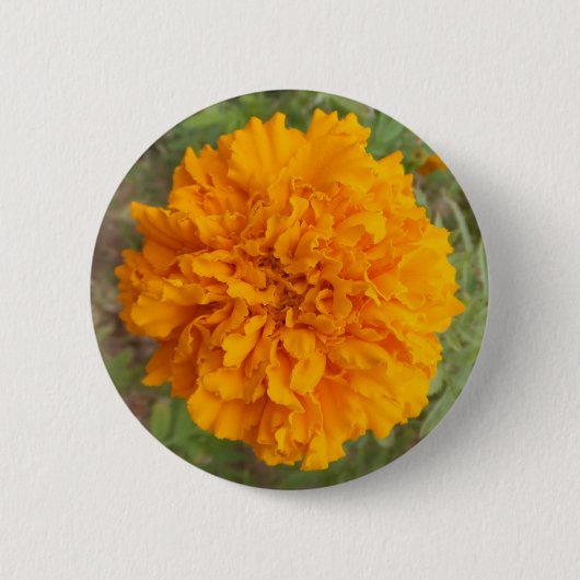 Schaltfläche Orange Carnation Button (Vorderseite)