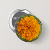 Schaltfläche Orange Carnation Button (Vorne & Hinten)