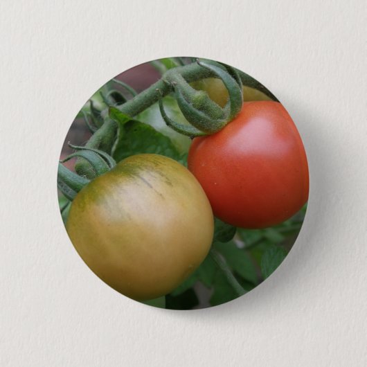 Schaltfläche Orange und Rote Tomaten Button (Vorderseite)