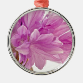 Schaltfläche Ornament Aus Metall