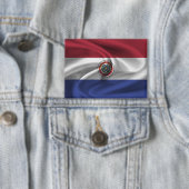 Schaltfläche "Paraguay Flag" Button (Insitu)