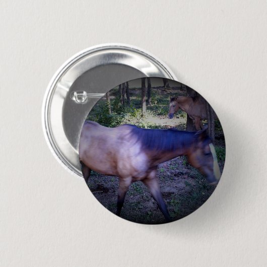 Schaltfläche "Pferd 2" Button (Vorne & Hinten)