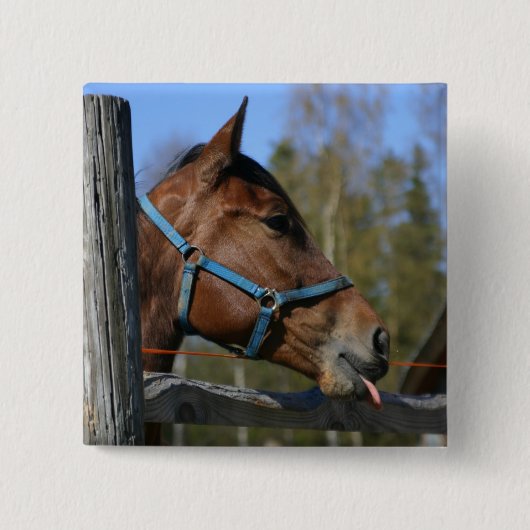 Schaltfläche Pferd Button (Vorderseite)