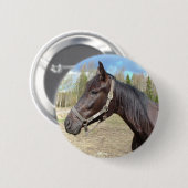 Schaltfläche Pferd Button (Vorne & Hinten)