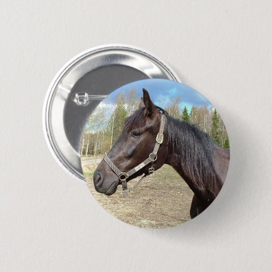 Schaltfläche Pferd Button (Vorne & Hinten)