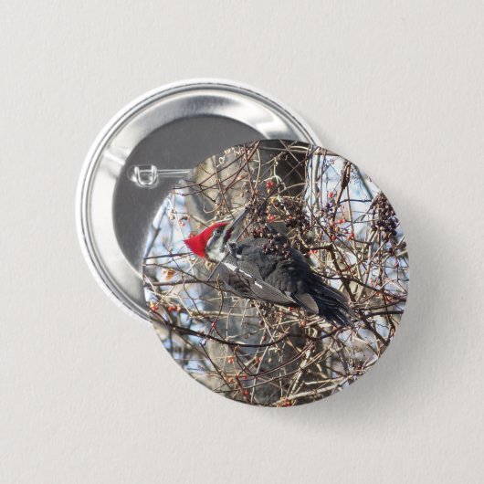 Schaltfläche "Piletierte Flecker" Button (Vorne & Hinten)