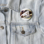 Schaltfläche "Polarbär zurücksetzen" Button (Beispiel)
