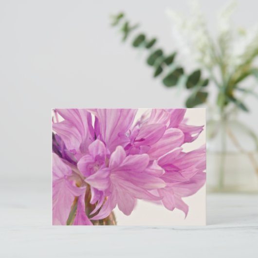 Schaltfläche Postkarte (Stehend Vorderseite)