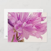 Schaltfläche Postkarte (Vorne/Hinten)