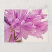 Schaltfläche Postkarte (Vorderseite)