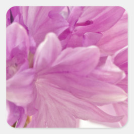 Schaltfläche Quadratischer Aufkleber