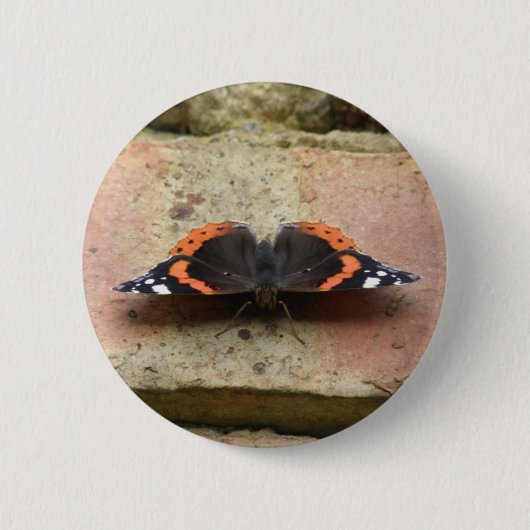 Schaltfläche "Red Admiral Butterfly" Button (Vorderseite)