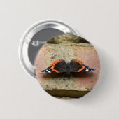 Schaltfläche "Red Admiral Butterfly" Button (Vorne & Hinten)
