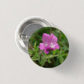 Schaltfläche Red Campion Wildblume Button (Vorne & Hinten)