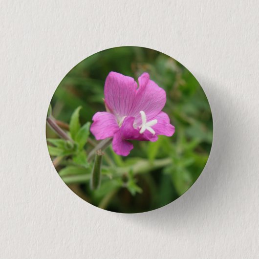 Schaltfläche Red Campion Wildblume Button (Vorderseite)