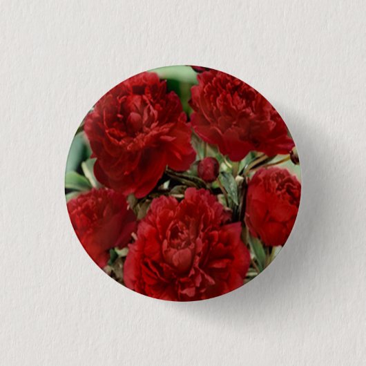 Schaltfläche Red Carnation Blume Button (Vorderseite)