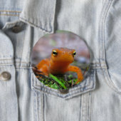 Schaltfläche Red Eft Salamander Newt Nature Button (Beispiel)