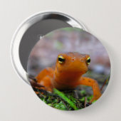 Schaltfläche Red Eft Salamander Newt Nature Button (Vorne & Hinten)
