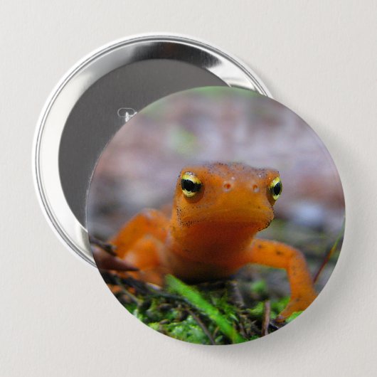 Schaltfläche Red Eft Salamander Newt Nature Button (Vorne & Hinten)