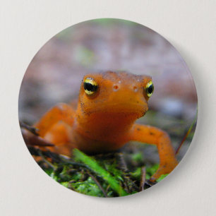 Schaltfläche Red Eft Salamander Newt Nature Button