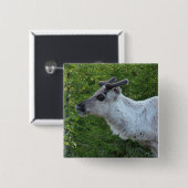 Schaltfläche Rentier in Lapland Button (Vorne & Hinten)