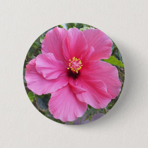 Schaltfläche "Rosa Hibiskus" Button
