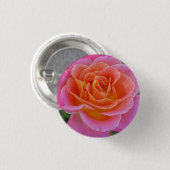 Schaltfläche Rosa und orange Rose Button (Vorne & Hinten)