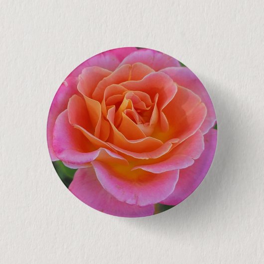 Schaltfläche Rosa und orange Rose Button (Vorderseite)
