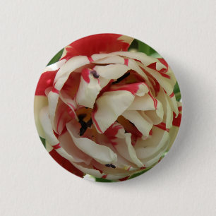 Schaltfläche "Rosa und Weiße Tulip" Button