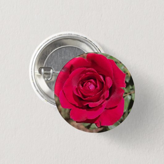 Schaltfläche rote Rose Button (Vorne & Hinten)