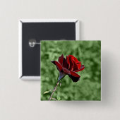 Schaltfläche rote Rose Button (Vorne & Hinten)