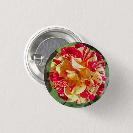 Schaltfläche Rote und Gelbe Rose Button (Vorne & Hinten)
