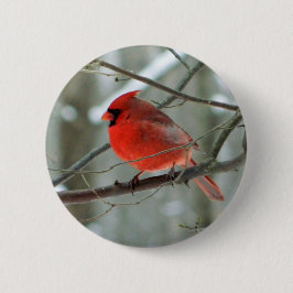 Schaltfläche "Roter Kardinal" (Männliche Wildtiere Button