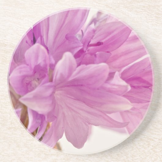 Schaltfläche Sandstein Untersetzer (Vorne)